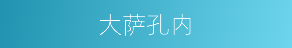大萨孔内的同义词