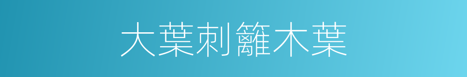 大葉刺籬木葉的同義詞