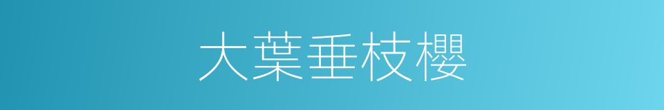 大葉垂枝櫻的同義詞