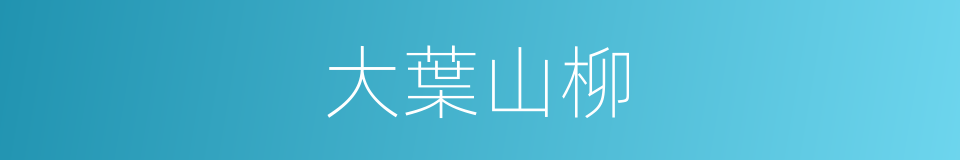 大葉山柳的同義詞