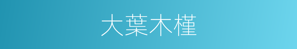 大葉木槿的同義詞