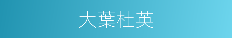 大葉杜英的同義詞