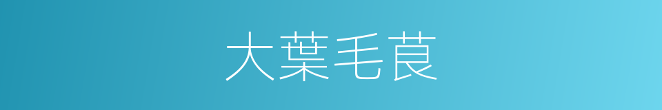 大葉毛茛的同義詞