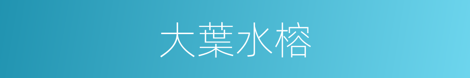 大葉水榕的同義詞