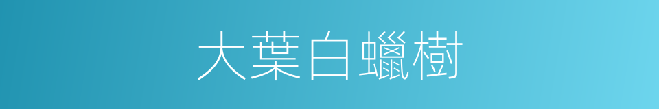 大葉白蠟樹的同義詞