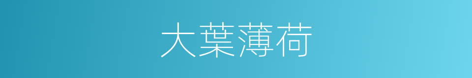 大葉薄荷的同義詞