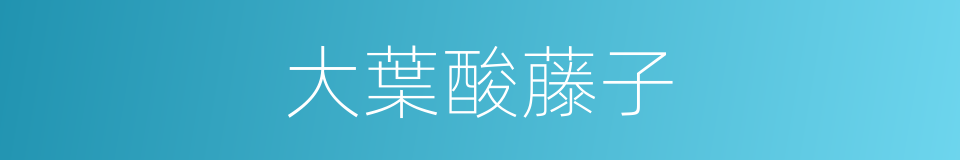 大葉酸藤子的同義詞