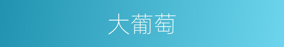 大葡萄的同义词