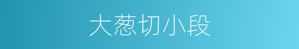 大葱切小段的同义词