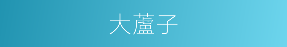 大蘆子的同義詞