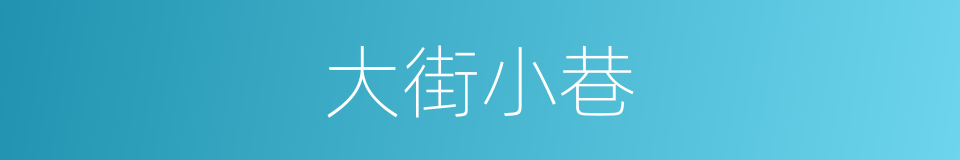 大街小巷的意思
