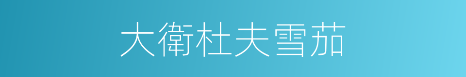 大衛杜夫雪茄的同義詞