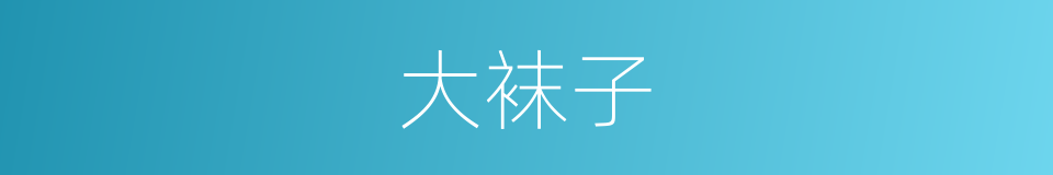 大袜子的同义词