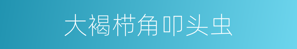 大褐栉角叩头虫的同义词