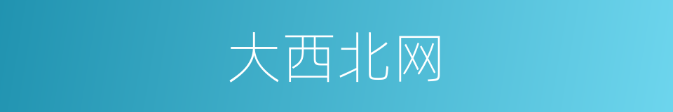 大西北网的同义词