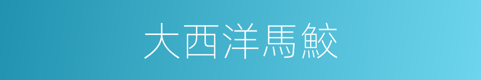 大西洋馬鮫的同義詞