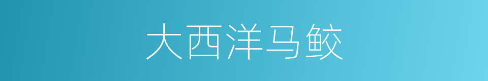 大西洋马鲛的同义词