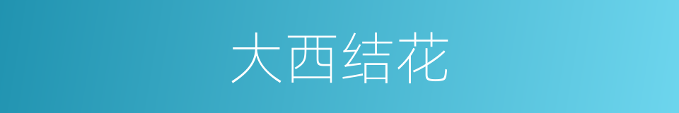 大西结花的同义词