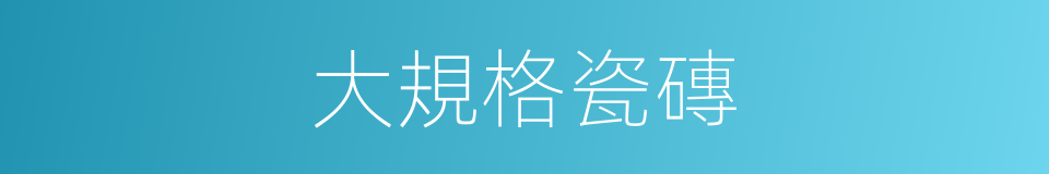 大規格瓷磚的同義詞