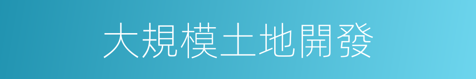大規模土地開發的同義詞