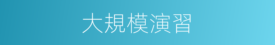 大規模演習的同義詞