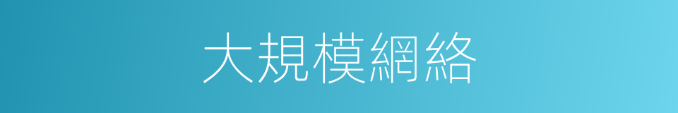 大規模網絡的同義詞