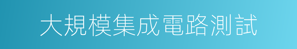 大規模集成電路測試的同義詞