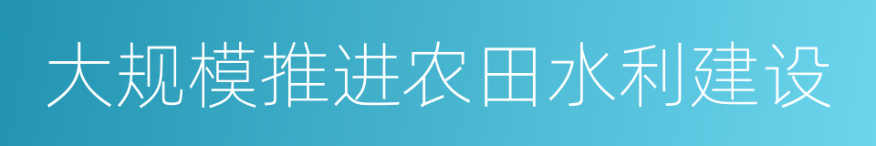 大规模推进农田水利建设的同义词