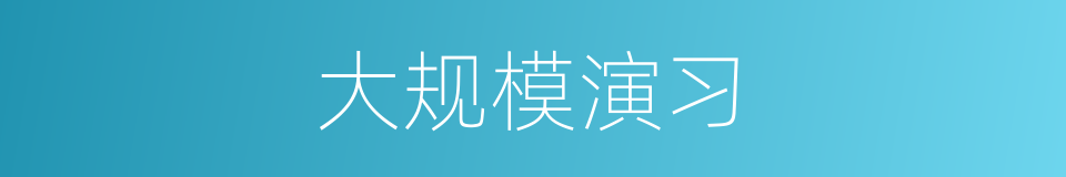 大规模演习的同义词