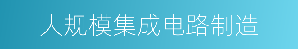 大规模集成电路制造的同义词