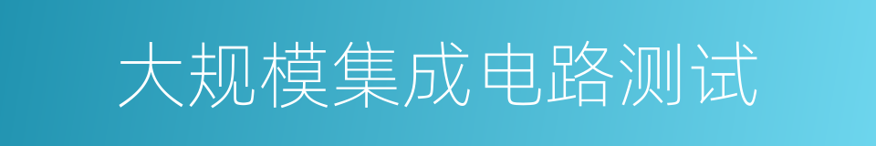 大规模集成电路测试的同义词