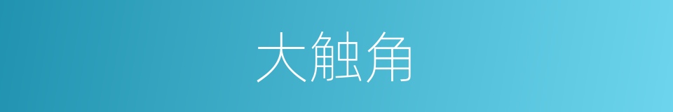 大触角的同义词