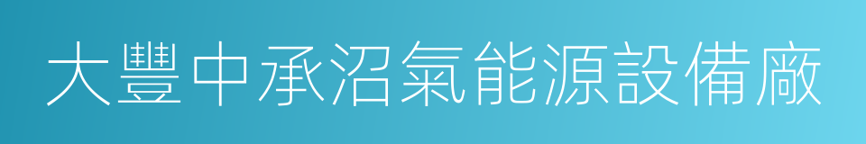 大豐中承沼氣能源設備廠的同義詞