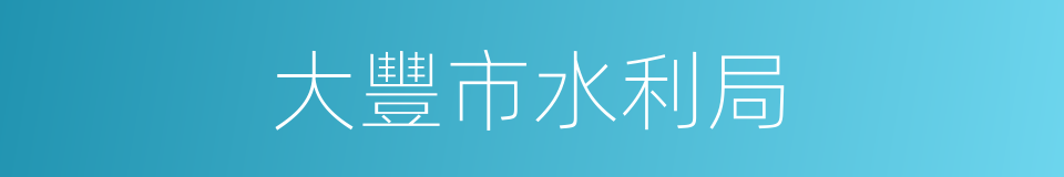 大豐市水利局的同義詞