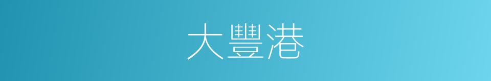 大豐港的同義詞