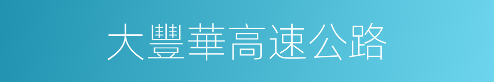 大豐華高速公路的同義詞
