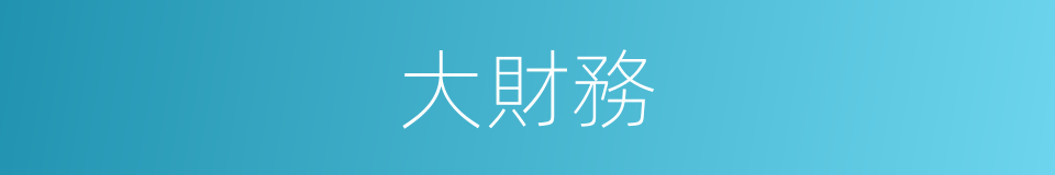 大財務的同義詞