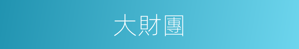 大財團的同義詞