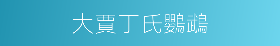 大賈丁氏鸚鵡的同義詞
