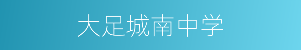 大足城南中学的同义词