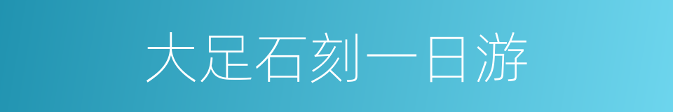 大足石刻一日游的同义词
