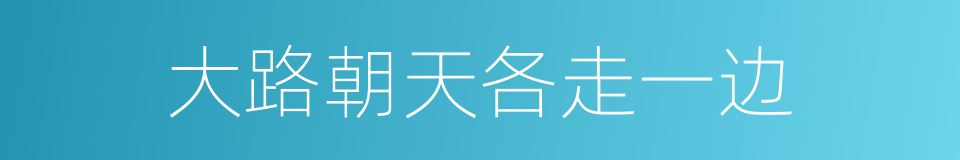 大路朝天各走一边的同义词