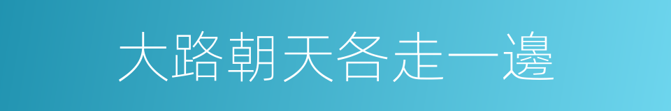 大路朝天各走一邊的同義詞