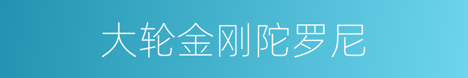 大轮金刚陀罗尼的同义词