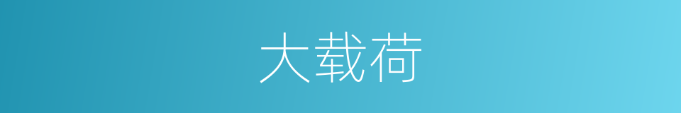 大载荷的同义词