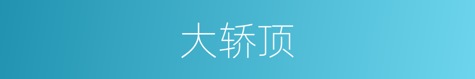 大轿顶的同义词