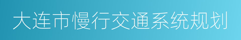 大连市慢行交通系统规划的同义词