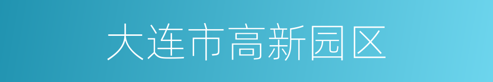 大连市高新园区的同义词