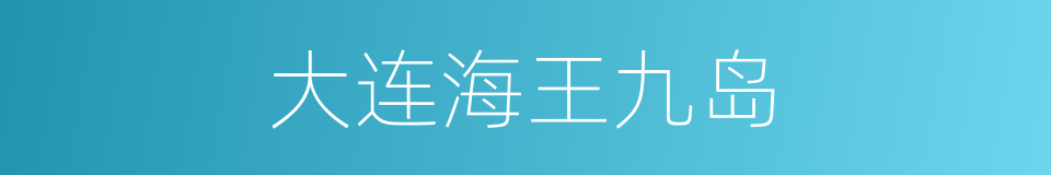 大连海王九岛的同义词