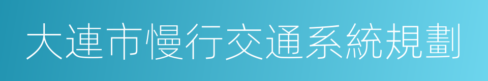 大連市慢行交通系統規劃的同義詞